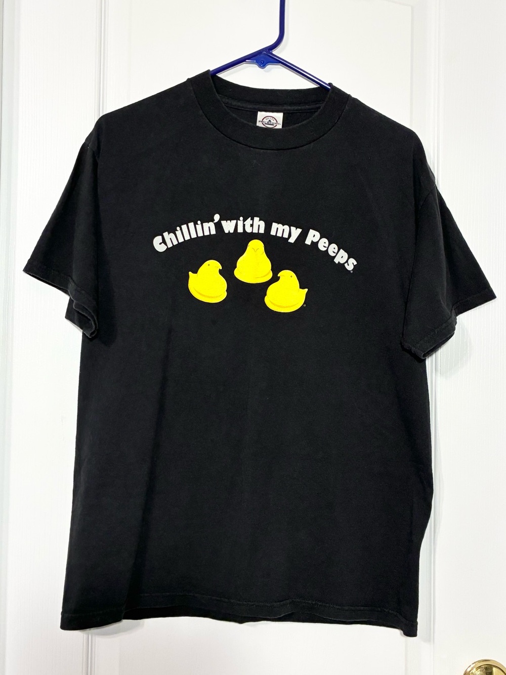 Y2K VTG Delta USA Knit ‘Chillin’ with My Peeps’ Chicks Graphic Tee Black Medium